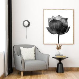 Amazing Sofa 2
